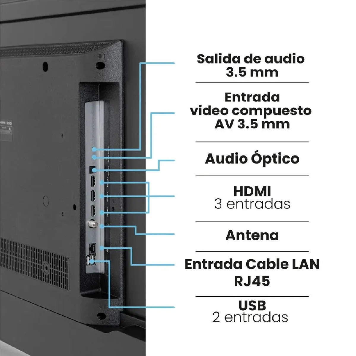 w=1200,h=1200,fit=pad (5).webp