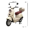 7709699671845_5.webp