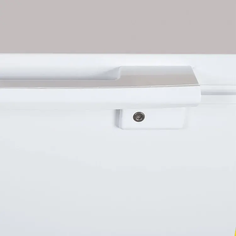 7705946644556 - 008.webp