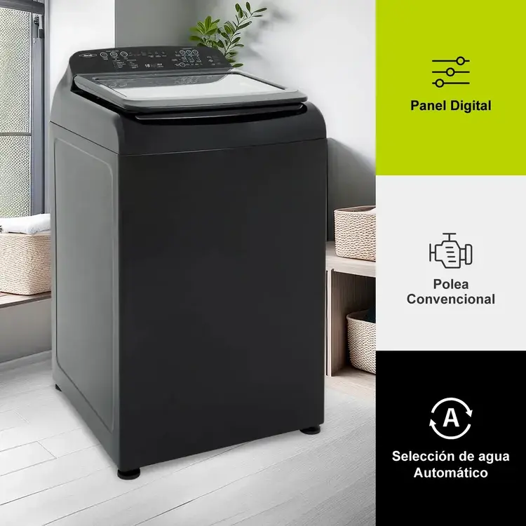 7704353446654 - 004.webp