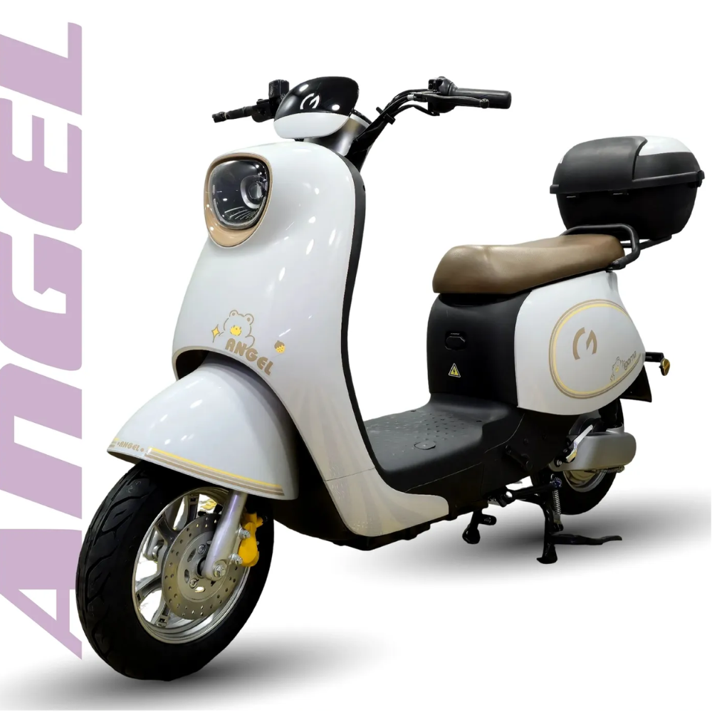Bicicleta Eléctrica Igoma Batería Extraíble de Plomo Angel Gris