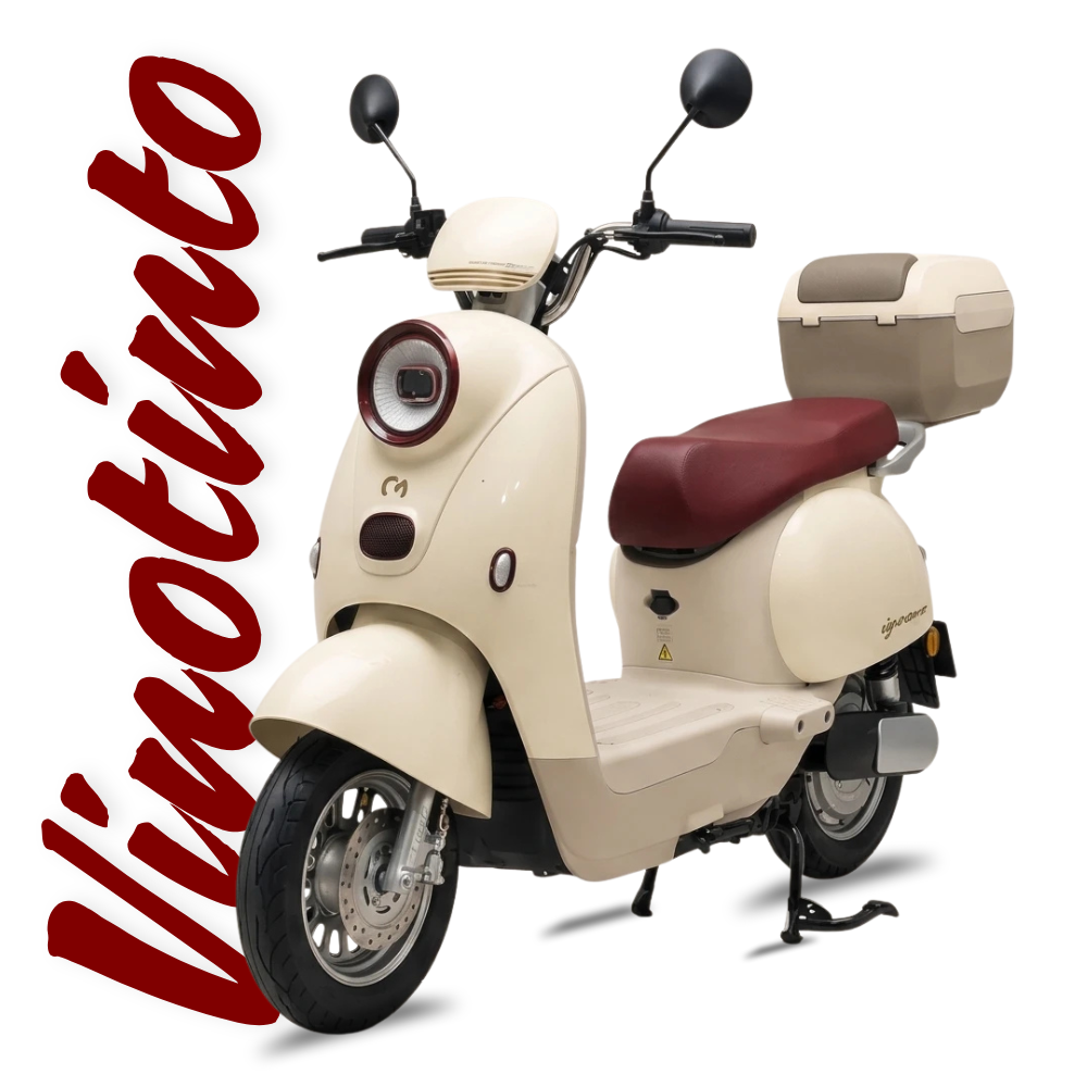 Bicicleta Eléctrica Igoma Love Batería de Litio Vinotinto