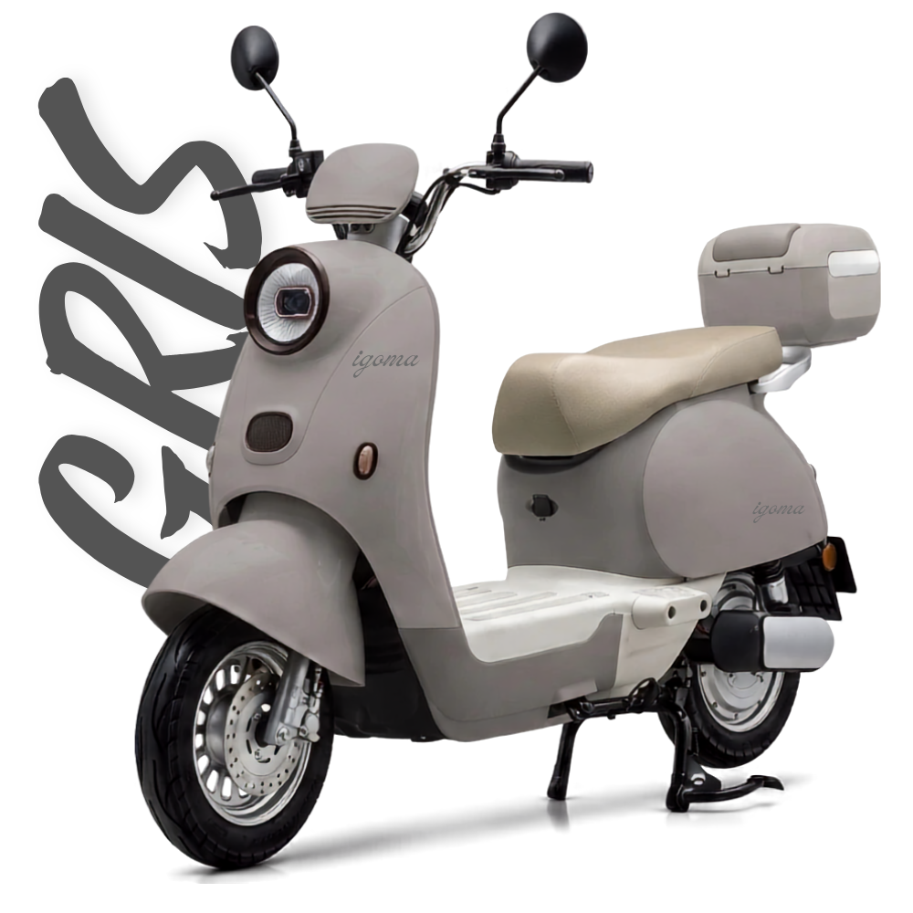 Bicicleta Eléctrica Igoma Love Batería de Litio Gris