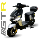Bicicleta Eléctrica Igoma GTR Batería de Litio Gris