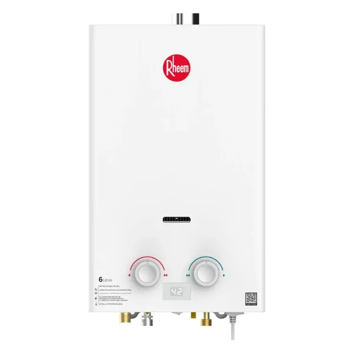 CALENTADOR DE PASO TIRO FORZADO 6 LITROS GN