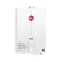 CALENTADOR DE PASO TIRO FORZADO 10  LITROS GN